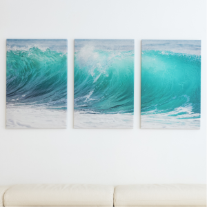 Canvas Prints